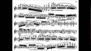 Dvorak AL mvt2 violin concerto [upl. by Aleuqahs458]