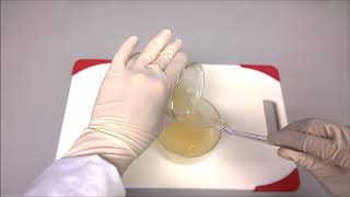 Unconfined Compression of Hydrogel Disks  Part 3  Sample Preparation Hydrogel [upl. by Goodwin378]