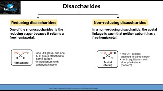 What Are Disaccharides [upl. by Noiztneb]