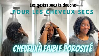 MA ROUTINE CAPILLAIRE CHEVEUX CREPUS SECS  UN WASHDAY POUR CHEVEUX SECS ET PEU POREUX [upl. by Masera]