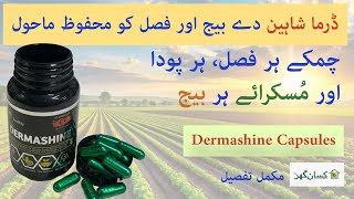 Dermashine is a Trichoderma Türkiye recipe acts as a bio Fungicides bio fertilizer for all plants [upl. by Analaf]