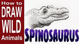 How to Draw a Spinosaurus BeginnerIntermediate [upl. by Annatnas]