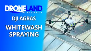 DJI Agras  Whitewash Spraying [upl. by Sparks]