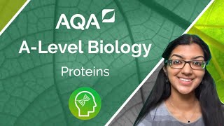 AQA A Level Biology Proteins [upl. by Ardle]