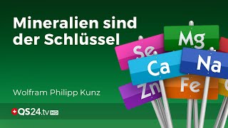 Schüssler Salz  Die Mineralien sind der Schlüssel  nach Dr Schüssler  QS24 18032020 [upl. by Annola12]