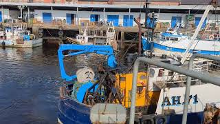 Fishing boats coming in with their catch to North Shields fish quay [upl. by Yttam412]