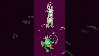 Phangler Vs Rootitoot  Psychic Island My Singing Monsters [upl. by Brownley]