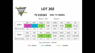 TV Lot 202 [upl. by Goto]