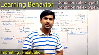 1724 Behaviour  Learning behaviour and its types  Fsc 2nd year Biology [upl. by Nies]