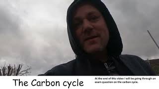 The carbon Cycle GCSE Biology IGCSE Biology How do the atoms in POO end up inside you [upl. by Kaja424]