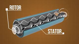 Rotor Stator Pumps explained by Putzparts24 [upl. by Eibrab]