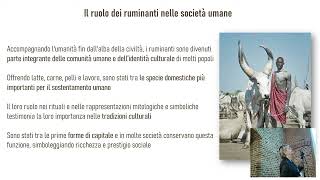 La produzione del latte evoluzione dei ruminanti da latte e delle popolazioni umane Anna Sandrucci [upl. by Nahta353]