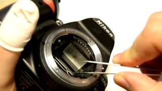 Changing focusing screen on Nikon D40 [upl. by Ayamahs214]