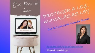 Proteger a los Animales es Ley con la Lic Yolanda Álvarez [upl. by Egiarc]