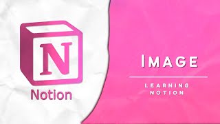 Notion Basics Insert Image [upl. by Yerxa]