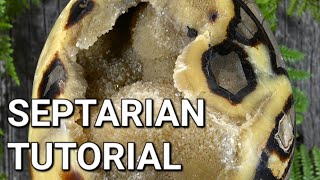 Septarian Tutorial [upl. by Zampino]