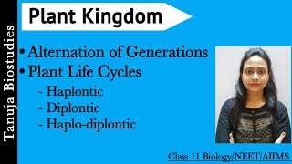 Haplodiplontic Life Cycle  NEET Biology biology shorts trending [upl. by Neelat]