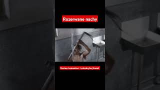 Jak rozpętałem drugą wojnę światową history film trending ww2 cinema polska historical [upl. by Nnaharas]