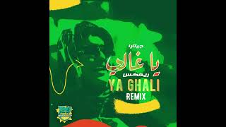 DJ Rabea Khlaif  YA GHALI REMIX  يا غالي ريمكس ديجي ربيع خليف [upl. by Margot]