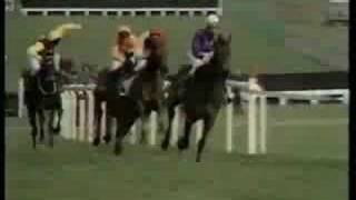 Night Nurse 1976 Champion Hurdle [upl. by Parsons414]