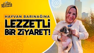 Barınağa Mutluluk Götürmek Köpeklere Evde Yemek Yapıyorum  Eda Karabulut ile Bir Lokma Mutluluk [upl. by Ayet658]