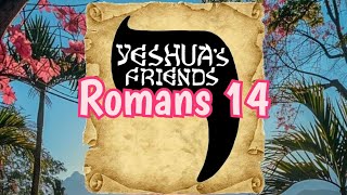 Bible Reading on Romans 14 CJB Version [upl. by Beltran]