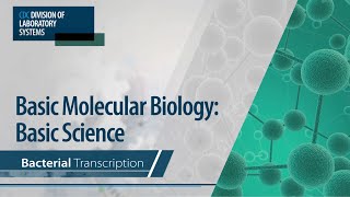 Basic Molecular Biology Basic Science – Bacterial Transcription [upl. by Timmie]