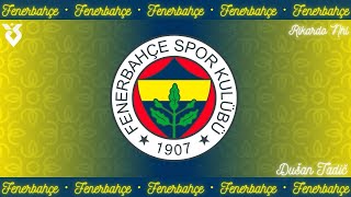 Fenerbahçe SK Goal Song Süper Lig 2425Fenerbahçe SK Gol Müziği Süper Lig 2425 Tadič [upl. by Pazice]