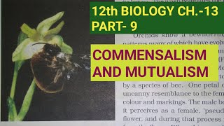 Class 12 biology chapter 12 part 9Commensalism amp mutualismStudy with Farru [upl. by Teryl]