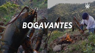 Bogavante en pan de palo  Emberwood [upl. by Ennovyahs801]