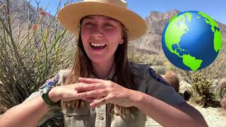 Effects of Climate Change on Desert Plants and Animals at Anza Borrego Desert State Park [upl. by Benilda]