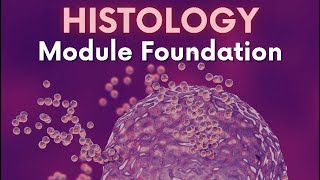 Epithelium 2  Foundation  Dr Nada [upl. by Nevi]