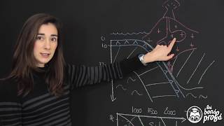 Analyse au MO de lames minces de roches  SVT  Les Bons Profs [upl. by Nonnek]