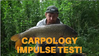 Carpology Impulse Test [upl. by Sperry299]