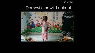 Wild or domestic animals  Animals theme  Modern kids Pallavaram [upl. by Adnole]