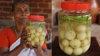 Salted Gooseberry Recipe  Nellikka Uppilittathu  Amla Pickle Recipe [upl. by Lessur]