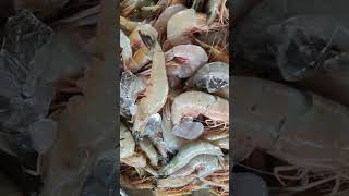 Shoaib khan fishing vlogpapoler videoviralclipsfish shohaibfishingshort video [upl. by Valentino]