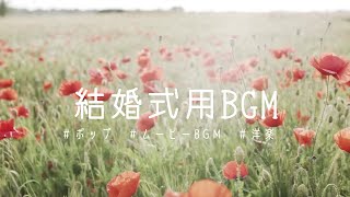 無難に使えそうな結婚式BGM【女性ボーカルポップおしゃれムービーBGM風洋楽著作権フリーFree Music生成AISunoAI】 [upl. by Madai]