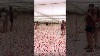 Yayoi Kusama ‘Infinity Room’ [upl. by Eittod]