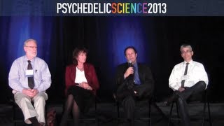 Psychedelic Research Founders Discussion [upl. by Nuli]