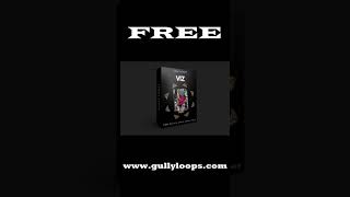 quotVIZquot  FREE Ritviz Style Sample Pack By GullyLoops  Udd Gaye Type Drum Loop [upl. by Klemm]