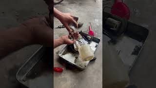 Fuel Pump Filter wash Pic problem fix alsharifauto mz shani shortvideo catalyticconverter [upl. by Maleeny494]