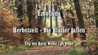 Emotions  Herbstzeit  Die Blätter fallen  Lizenzfreie Footage [upl. by Philender462]