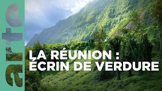 La Réunion le renouveau des jardins créoles  360° Reportage  ARTE Family [upl. by Kory]