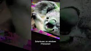 Solarisexe on windows 711 [upl. by Jack]