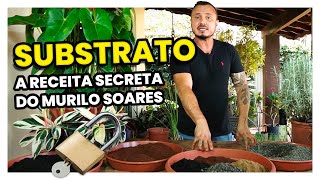 A famosa RECEITA de SUBSTRATO do Murilo Soares [upl. by Nyrrat]