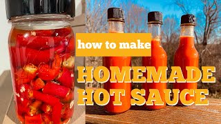 How to Make Homemade Fermented Hot Sauce Only 3 Ingredients part2 [upl. by Ben]