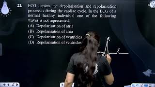 ECG depicts the depolarisation and repolarisation processes during the cardiac cycle In the ECG [upl. by Vedis]