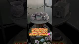 【新ハウスオープン】日が暮れても作業中💦楽しみぃ〜💖【19日土曜日】 [upl. by Petulia457]