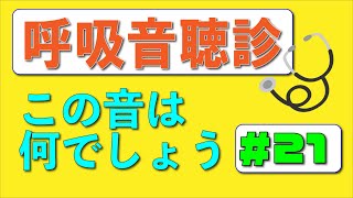 【21日目】毎日1分！こっそり呼吸音の聴診ができるようになりませんか？ [upl. by Maiga]